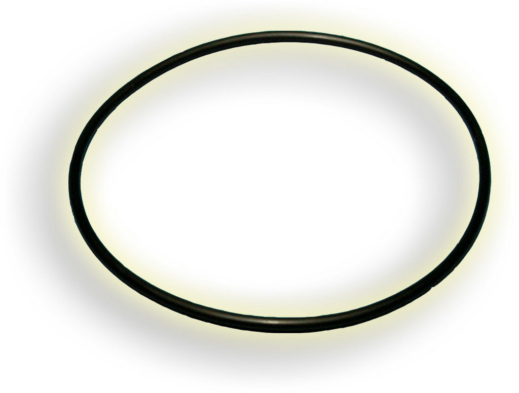 O-Ring ø100x4